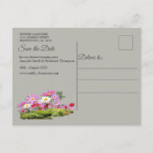 Carte Postale Faire-part Cosmos Wilderness Wild Flowers (Dos)