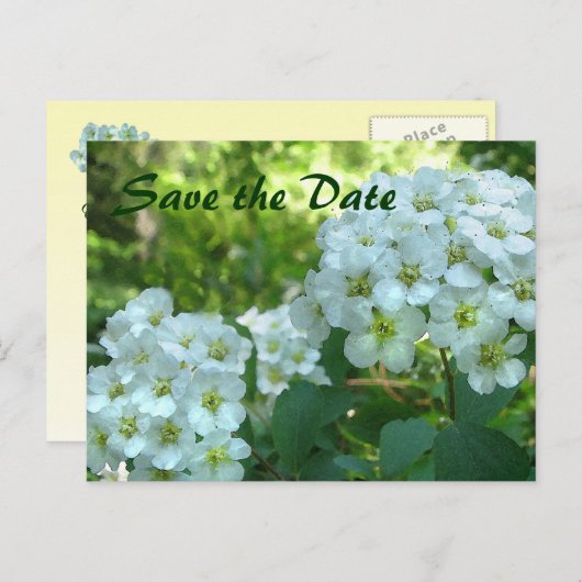 Carte Postale Faire-part Couronne nuptiale Enregistrer la date (Devant / Derrière)