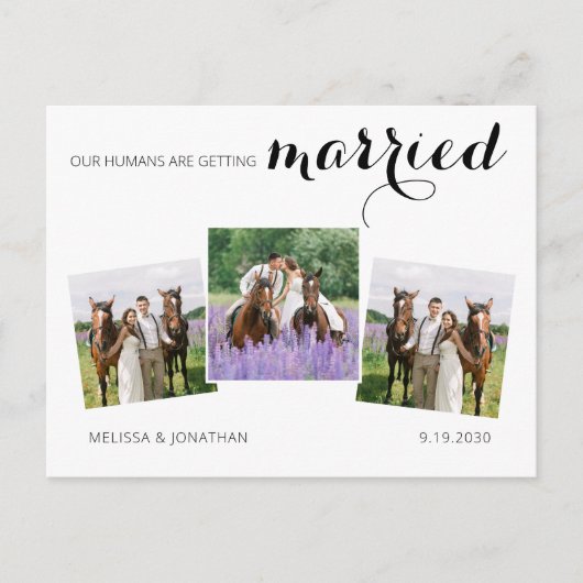 Carte Postale Faire-part Custom 3 Photo Horse Mariage d'animaux de compagni (Devant)