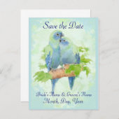 Carte Postale Faire-part Cute Cuddin Parrot tropical Mariage Couple (Devant / Derrière)