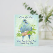 Carte Postale Faire-part Cute Cuddin Parrot tropical Mariage Couple (Debout devant)