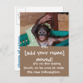 Carte Postale Faire-part Cute New Accueil Changement d'adresse (Devant / Derrière)