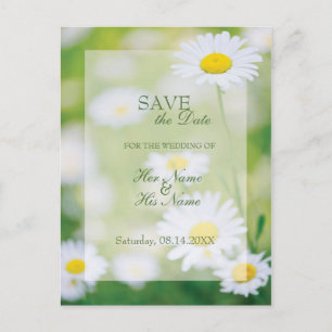 Carte Postale Faire-part Daisy Marguerites Fleur Floral Été ENREGISTRER la