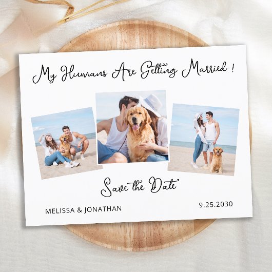 Carte Postale Faire-part Date Personnalisée Moderne avec Photo de 3 Chiens