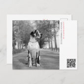 Carte Postale Faire-part de chiot (Devant / Derrière)