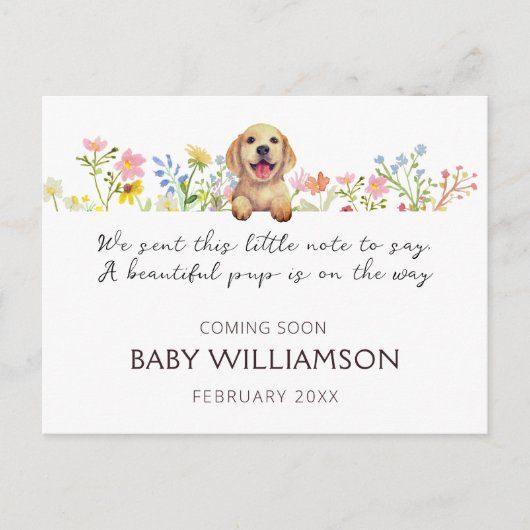 Carte postale Faire-part de grossesse de chiot aqu (Devant)