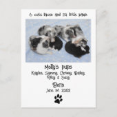 Carte Postale Faire-part de naissance de chiot mignon (Devant)