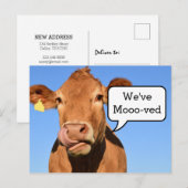 Carte Postale Faire-part Déménagement Drôle | Nous avons déménagé (Devant / Derrière)