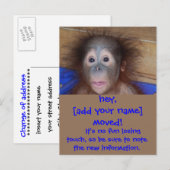 Carte Postale Faire-part Déménagements Annonces Tête de Mignon (Devant / Derrière)