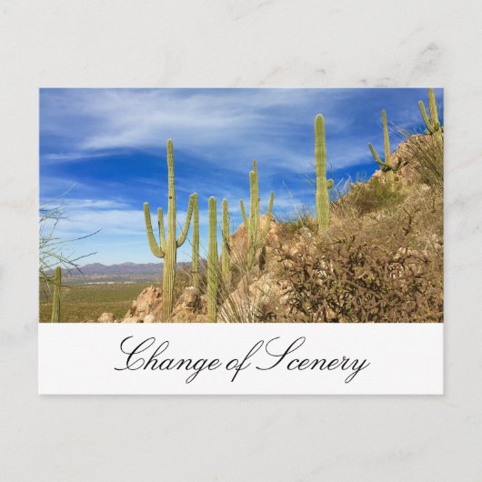 Carte Postale Faire-part Desert Cactus New Address Moving (Devant)