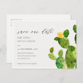 CARTE POSTALE FAIRE-PART DÉSERT D'EAU VERTE CACTUS SAUVER LA DATE (Devant / Derrière)