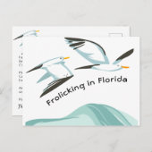 Carte Postale Faire-part Deux goélands s'ébattant en Floride Nouvelle Adres (Devant / Derrière)