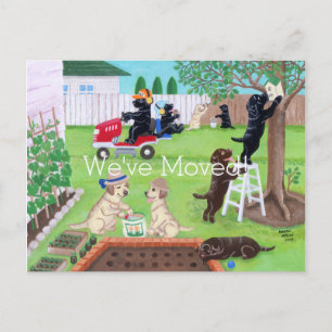 Carte Postale Faire-part Dimanche Fun Labradors Peinture Nouvelle adresse