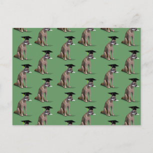 Carte Postale Faire-part Diplômé Coyote