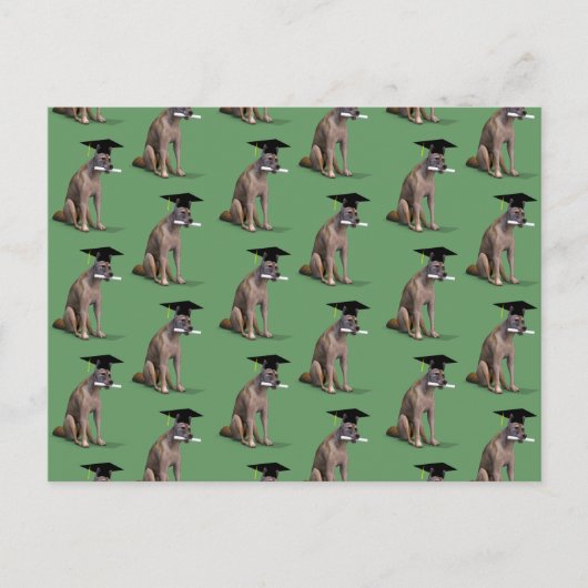 Carte Postale Faire-part Diplômé Coyote (Devant)