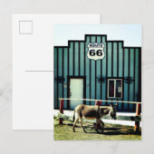 Carte Postale Faire-part Donkey Town Oatman Arizona (Devant / Derrière)