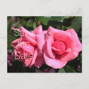 Carte Postale Faire-part Double fleurs de rose rose chaud mariage enregistr