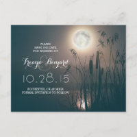 dragonfly full moon nuit & cattails enregistrer la