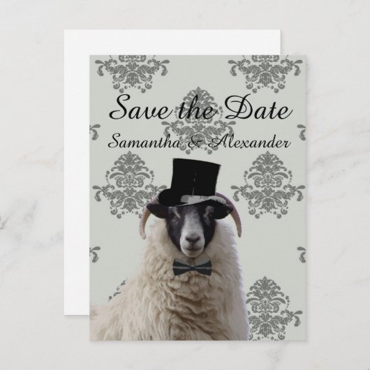 Carte Postale Faire-part Drôle mariage marié mouton enregistrer la date (Devant / Derrière)