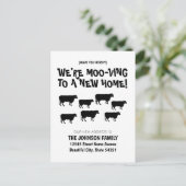 Carte Postale Faire-part Drôle Nous Déménageons Troupeau De Vaches Nouvelle (Debout devant)