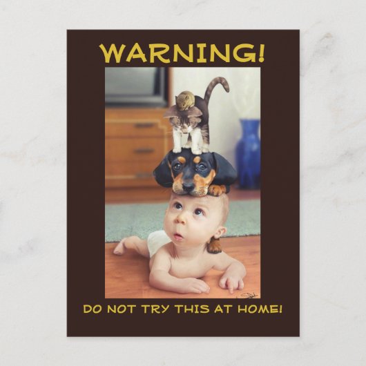 Carte Postale Faire-part DRÔLE : Souris et chat et chien empilés sur le (Devant)