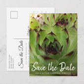 Carte Postale Faire-part Écriture Moderne de Succulente Verte Save the Date (Devant / Derrière)