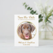 Carte Postale Faire-part Elegant Chic Gold Custom Pet Photo Chien Mariage (Debout devant)