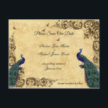 Carte Postale Faire-part Élégant, Enregistrer la date, Peacocks,<br><div class="desc">Veuillez enregistrer notre carte postale Mariage Date Peacocks. Customisez le texte et la police en fonction de vos besoins.</div>