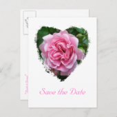 Carte Postale Faire-part Éléments de coordination Rose Escalade (Devant / Derrière)