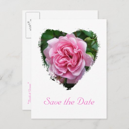 Carte Postale Faire-part Éléments de coordination Rose Escalade (Devant / Derrière)