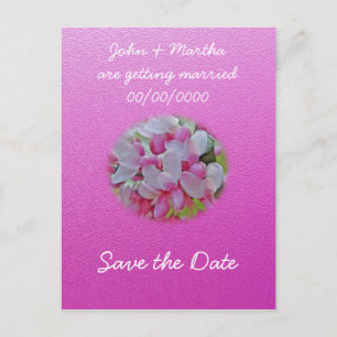 Carte Postale Faire-part Eléments en fleurs d'arbre de Redbud