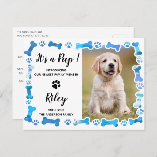 Carte Postale Faire-part Empreintes de pattes bleues Os Nouveau Chien Anima (Devant / Derrière)