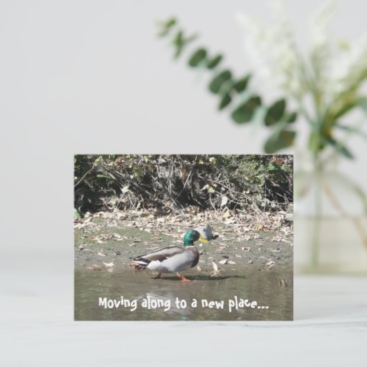 Carte Postale Faire-part En allant vers un nouvel endroit... (Debout devant)