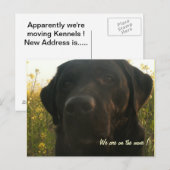 Carte Postale Faire-part En déplacement (Devant / Derrière)