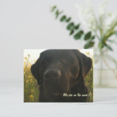 Carte Postale Faire-part En déplacement (Debout devant)