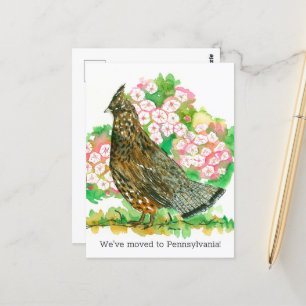 Carte Postale Faire-part en mouvement Pennsylvanie rouffed Grous