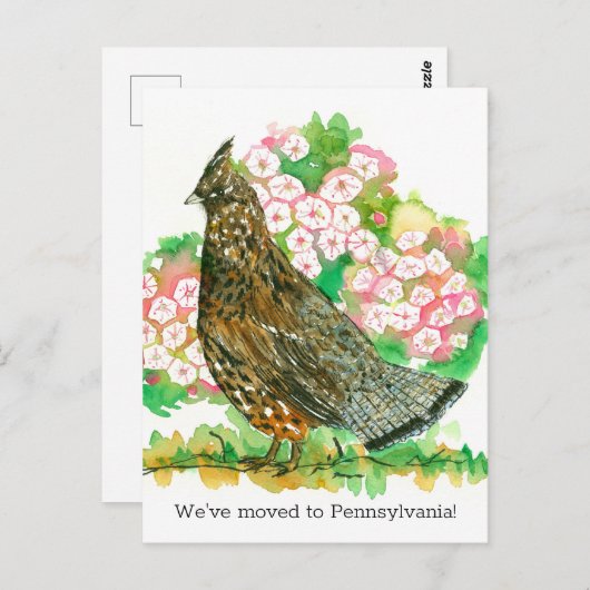 Carte Postale Faire-part en mouvement Pennsylvanie rouffed Grous (Devant / Derrière)