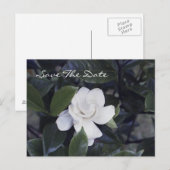 Carte Postale Faire-part Enchanting Gardenia Save The Date Postcard (Devant / Derrière)