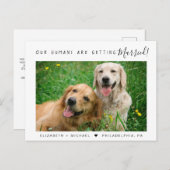Carte Postale Faire-part Engagement de photo d'animaux de compagnie moderne (Devant / Derrière)