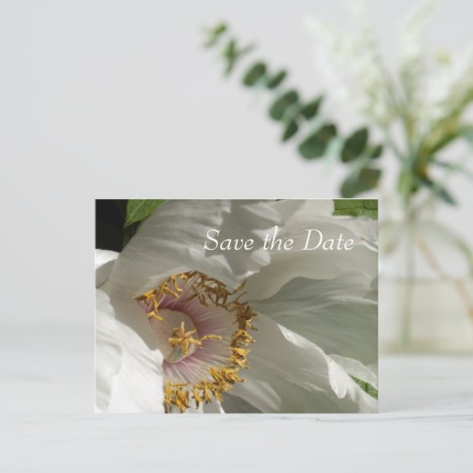 Carte Postale Faire-part Enregistrer la date (Debout devant)