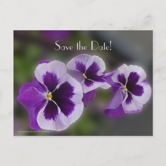 Carte Postale Faire-part Enregistrer la date 80e fête d'anniversaire Purple (Devant)