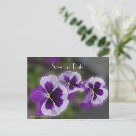 Carte Postale Faire-part Enregistrer la date 80e fête d'anniversaire Purple (Debout devant)