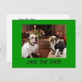 Carte Postale Faire-part ENREGISTRER LA DATE Bulldogs (Devant / Derrière)