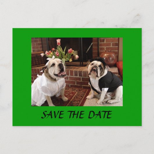 Carte Postale Faire-part ENREGISTRER LA DATE Bulldogs (Devant)