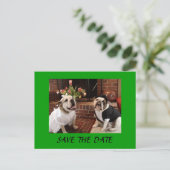 Carte Postale Faire-part ENREGISTRER LA DATE Bulldogs (Debout devant)