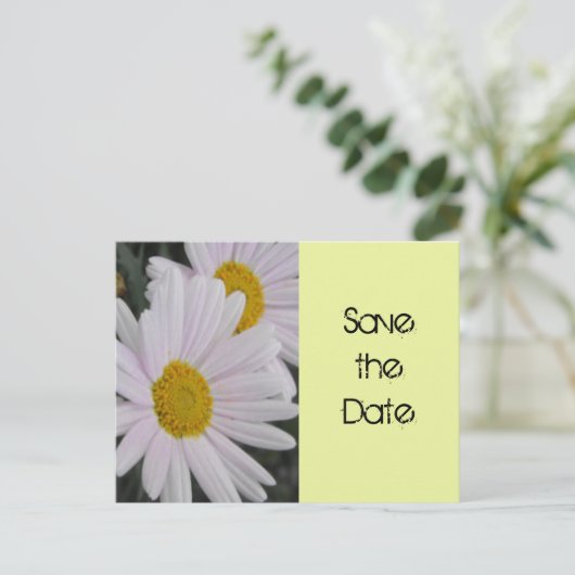 Carte Postale Faire-part enregistrer la date, fleur marguerite (Debout devant)