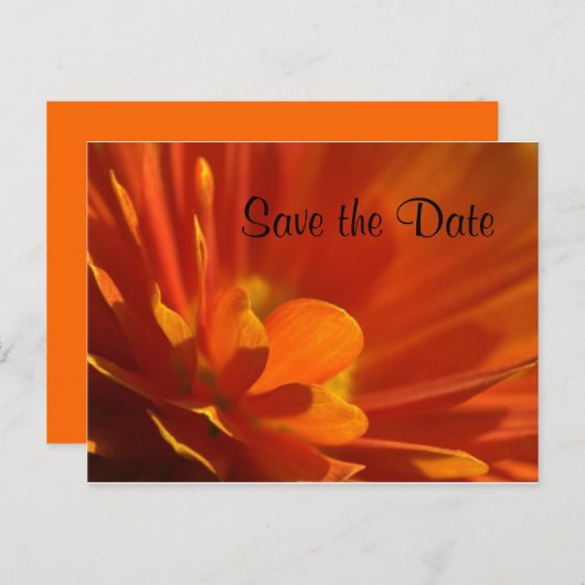 Carte Postale Faire-part Enregistrer la date Fleur orange (Devant / Derrière)