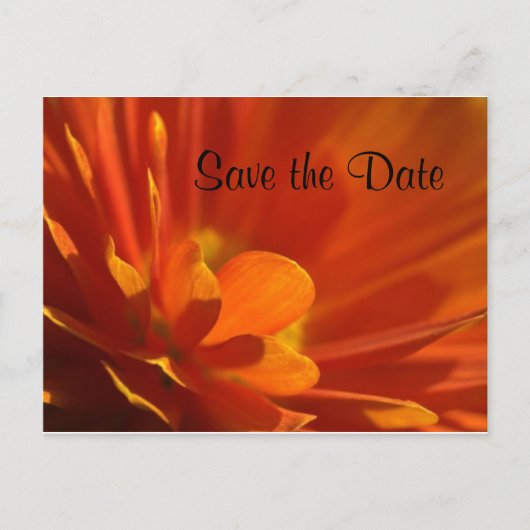 Carte Postale Faire-part Enregistrer la date Fleur orange (Devant)
