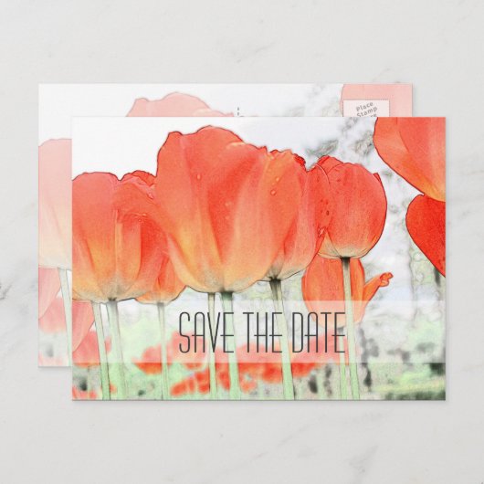 Carte Postale Faire-part Enregistrer la date, fleurs de tulipe rouge photo  (Devant / Derrière)