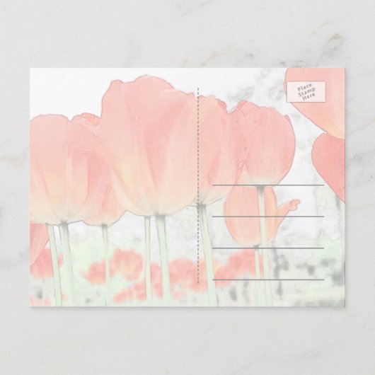 Carte Postale Faire-part Enregistrer la date, fleurs de tulipe rouge photo  (Dos)